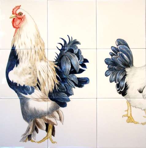 Chickens, hens, roosters and cockerels 5