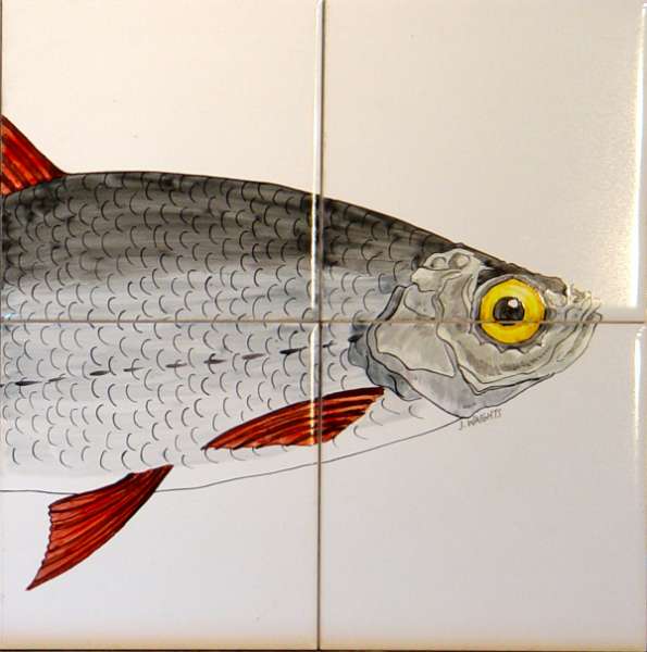 Ide Fish on hand painted tiles