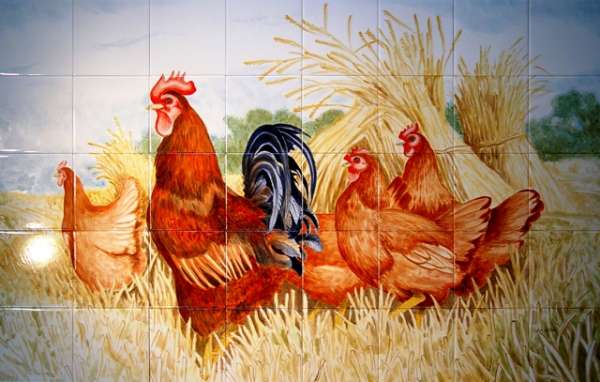 Chickens, hens, roosters and cockerels 6