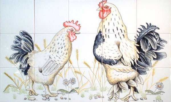 Chickens, hens, roosters and cockerels 16